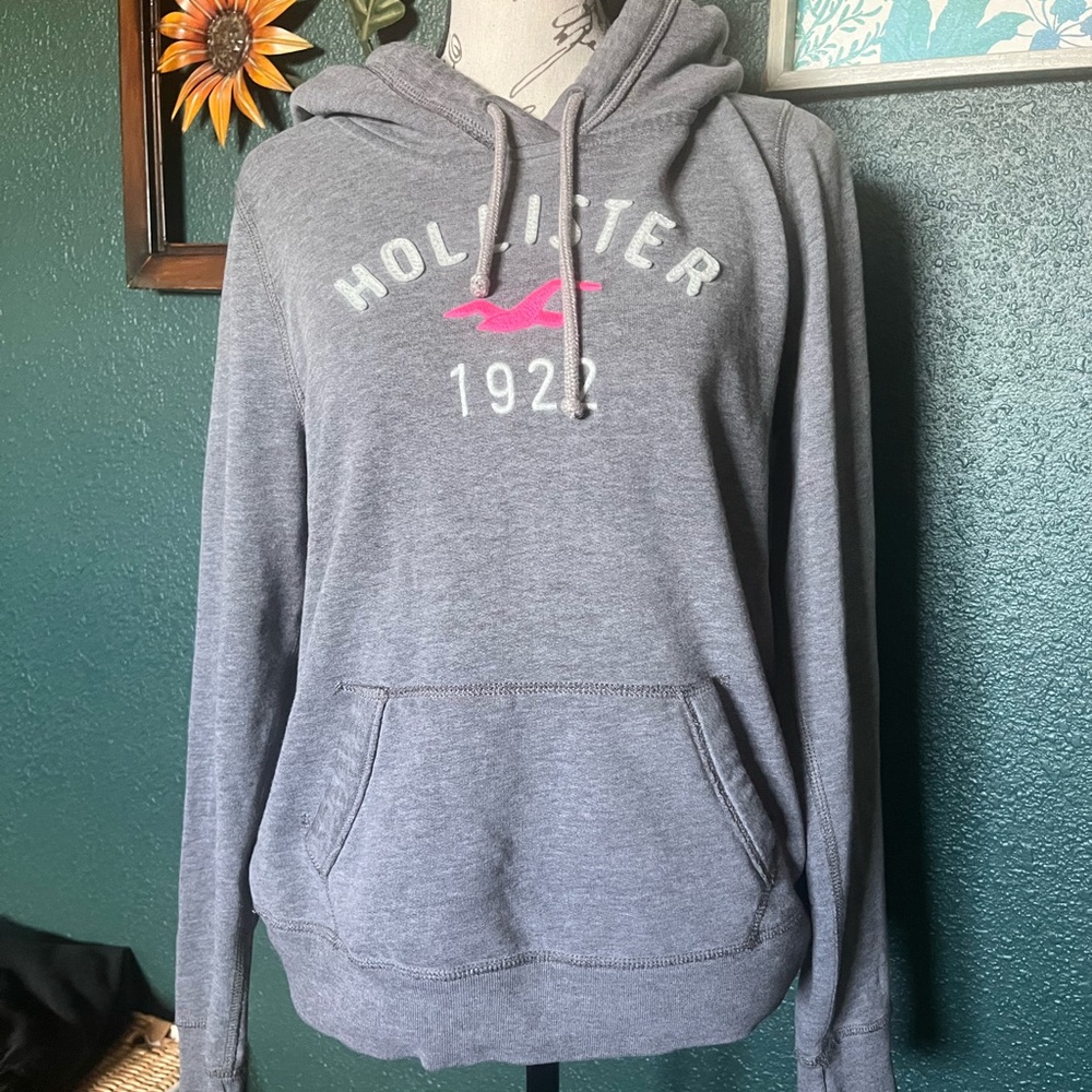 Vintage y2k Hollister hoodie